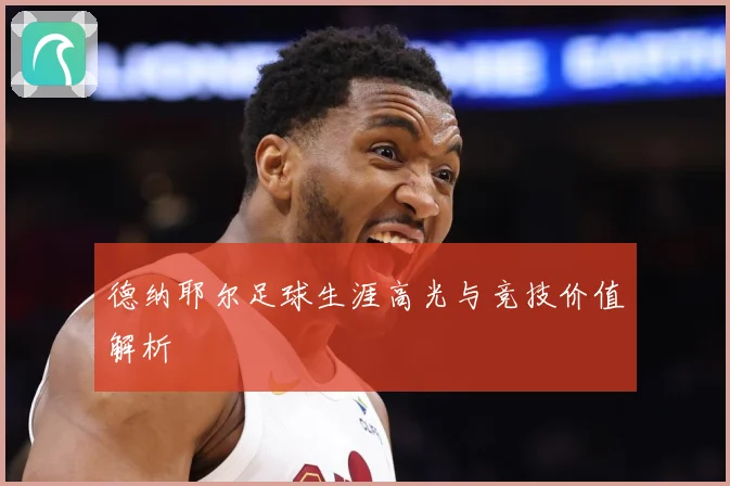 德纳耶尔足球生涯高光与竞技价值解析