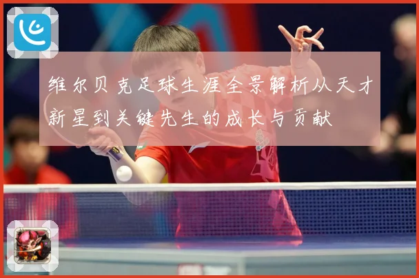 维尔贝克足球生涯全景解析从天才新星到关键先生的成长与贡献