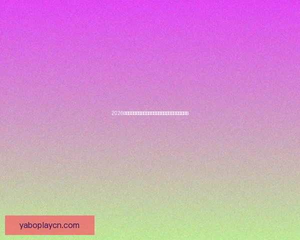 2026美国世界杯球场全景布局城市分布与观赛体验深度解析指南